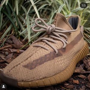 Yeezy boost 350 Earth
